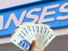 Una buena de ANSES: el organismo pagará $ 92.000 extra a todos estos beneficiarios en septiembre
