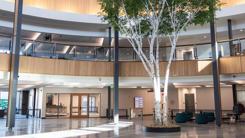 Gimnasio Walton Family Whole Health & Fitness del nuevo campus de oficinas de Walmart. Foto: Walmart.