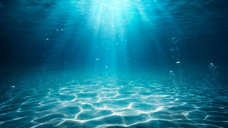 Descubrimiento excepcional: encuentran un barco lleno de vinos del siglo XIX que podrían ser consumidos.