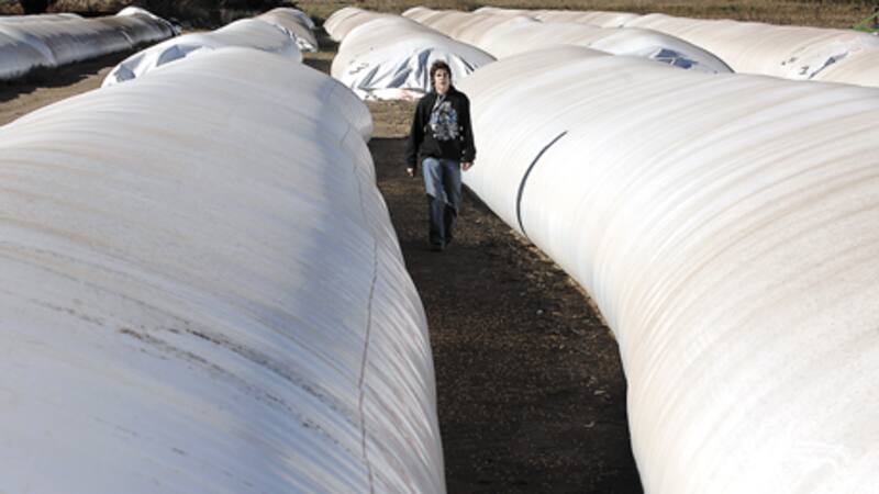 Las silobolsas hacen posible un mayor almacenamiento de granos en los campos