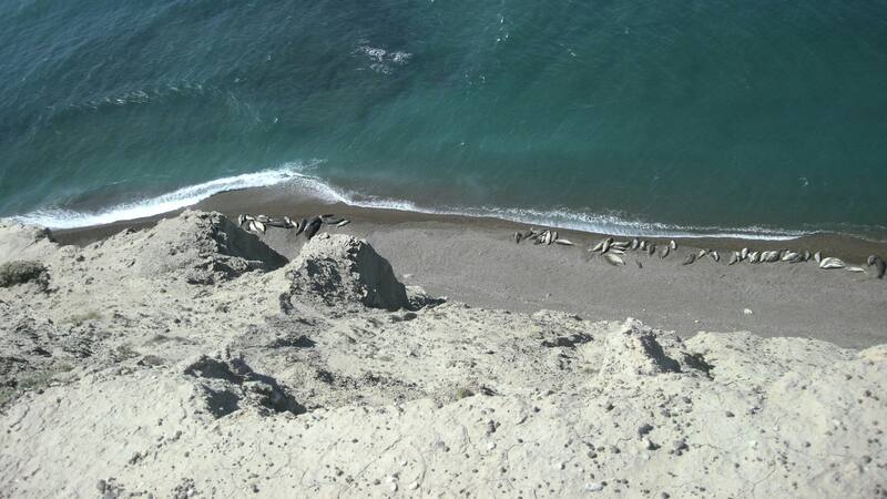 Esta ciudad costera tiene poco más de 100.000 habitantes.