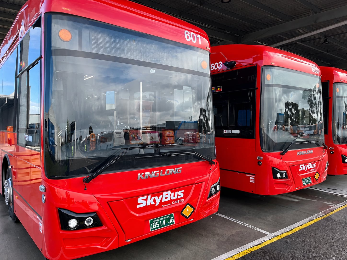 Una marca china de colectivos pone primera en la Argentina de la mano de un grupo local