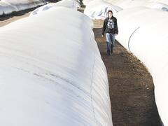 Se pagó hasta u$s 350 para que los sojeros vendan ya su cosecha