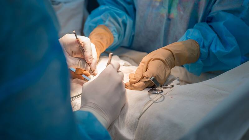 <div class="migrated-promo-image__description"><div class="migrated-promo-image__source">Fuente: Shutterstock</div></div>