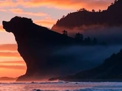 Descubren un fenómeno geológico sin precedentes: la única montaña en el mundo que tiene la forma exacta de un perro