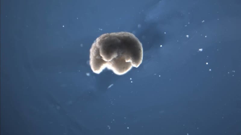 <div class="migrated-promo-image__description"><div class="migrated-promo-image__source">Fuente: The conversation</div></div>