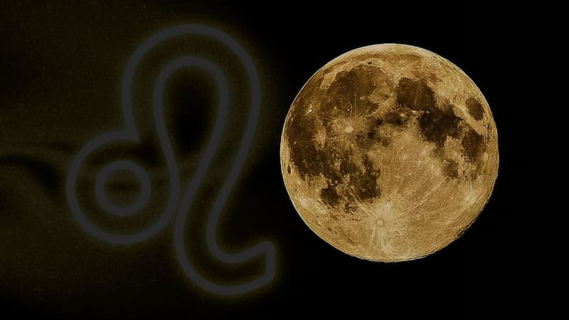 <div class="migrated-promo-image__description"><div class="migrated-promo-image__source">Fuente: Freepik</div></div>