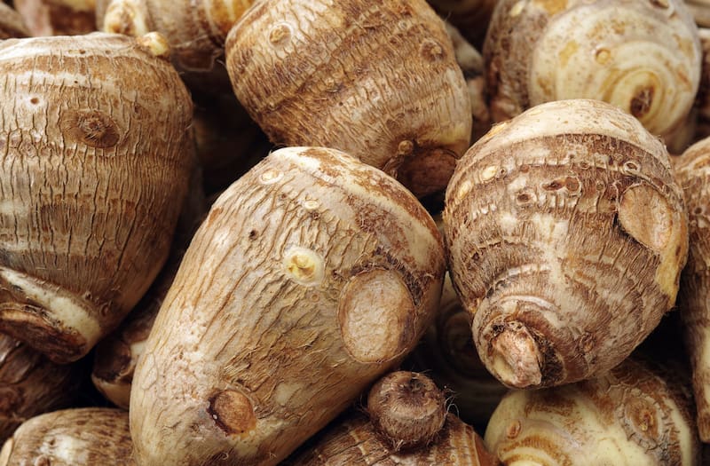 Descubre cómo este tubérculo tropical puede mejorar tu memoria y concentración. Fuente: Shutterstock.