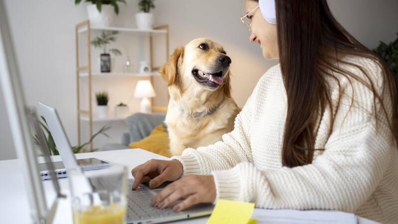 Ciertas razas de perros se adaptan facilmente al home office.(Fuente: Freepik)