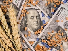 Cuántos dólares sumaría el campo hasta fin de año y sus claves: la "aspiradora china" y el pulso político