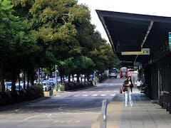 Paro de transporte y colectivos UTA: cuándo empieza, qué servicios afecta y todo lo que hay que saber