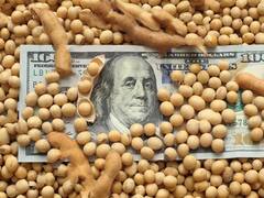 La soja llegó a u$s 540 en Chicago y ya alcanzó el mayor valor en siete años