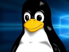 4 razones reales para dejar Windows y pasarse a Linux