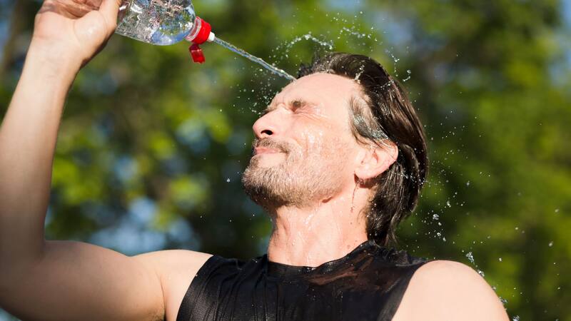 <div class="migrated-promo-image__description"><div class="migrated-promo-image__source">Fuente: Freepik </div></div>