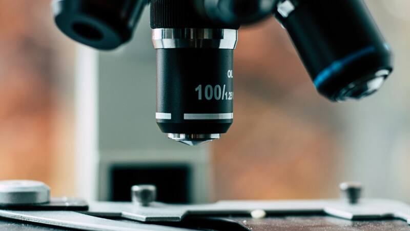 La investigación científica que reveló el secreto de uno de los animales más resistentes del mundo.