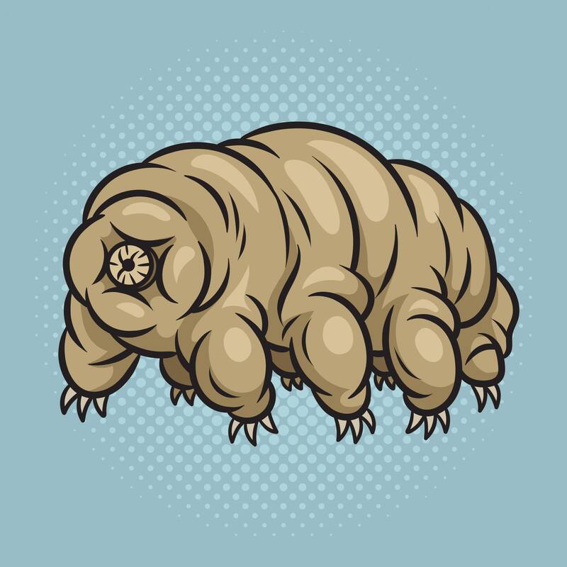 Los tardigrados son de los animales más supervivientes del mundo (Fuente: Adobe Stock)