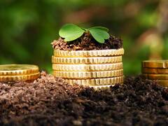 Acuerdos de productividad son necesarios en economías regionales sin protección