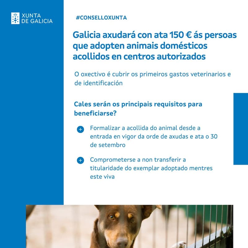 El anuncio de la Xunta de Galicia del programa de adopción de mascotas (Fuente: X @Xunta)
