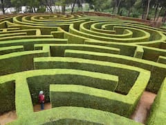 A 1 hora del Centro: el pueblo con un laberinto de hace 300 años y 3 hectáreas de campo para pasar este fin de semana