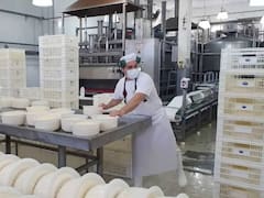 El desempleo bajó en abril con respecto a marzo y se ubicó en el 7,5%