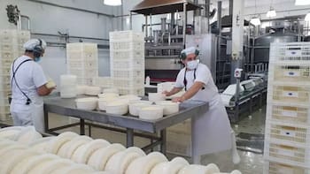 El desempleo bajó en abril con respecto a marzo y se ubicó en el 7,5%