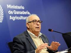 Acuerdo entre Argentina y EEUU “no es una buena señal para fortalecer el Mercosur”