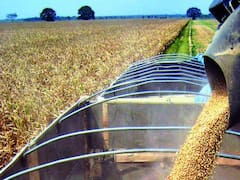 Productores solicitarán extender la emergencia agropecuaria
