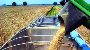 Productores solicitarán extender la emergencia agropecuaria