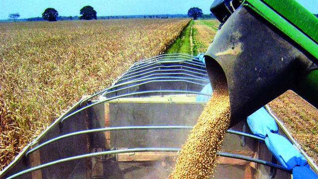 Productores solicitarán extender la emergencia agropecuaria
