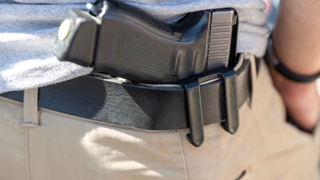 ¿Qué propone el proyecto sobre control de armas y municiones?