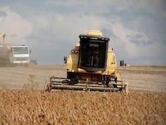 La Cámara Argentina de Sociedades y Fondos de Garantía expondrá sobre “El crédito que mueve al agro”