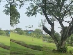 Se estrelló un avión de la fuerza aérea de Colombia con 120 militares a bordo: ya son 34 los muertos confirmados