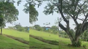 Se estrelló un avión de la fuerza aérea de Colombia con 120 militares a bordo: 8 muertos confirmados