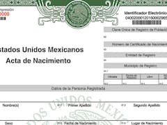 La diferencia entre obtener acta de nacimiento actualizada y acta de nacimiento certificada: ¿qué tiene cada una y para qué sirven?