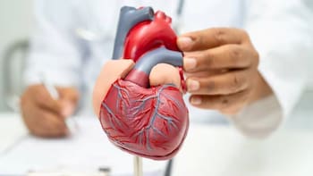 Ni caminata ni bicicleta fija: el ejercicio ideal para cuidar tu corazón y mejorar la circulación