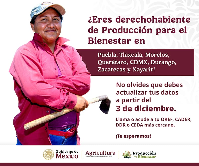 El Gobierno de México confirmó que le quitará la beca a las personas que no hagan este trámite urgente: aplicará desde enero del 2026