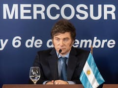 Por qué el freno en Europa no obstaculiza el proceso en la Argentina y cuál es el paso a paso