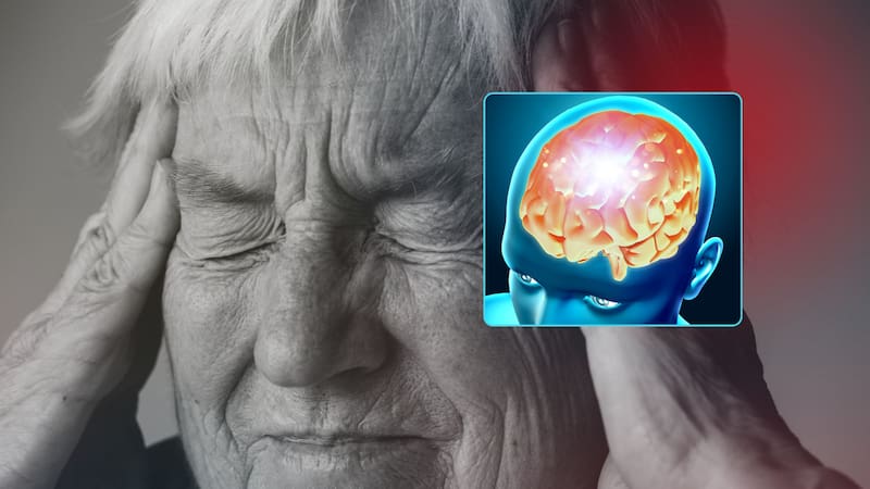 <div class="migrated-promo-image__description"><div class="migrated-promo-image__source">Fuente: Freepik</div></div>