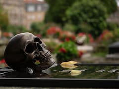 Hallazgo arqueológico sin precedentes: encuentran evidencia relacionada al “año cero” gracias a una tumba del Imperio Romano