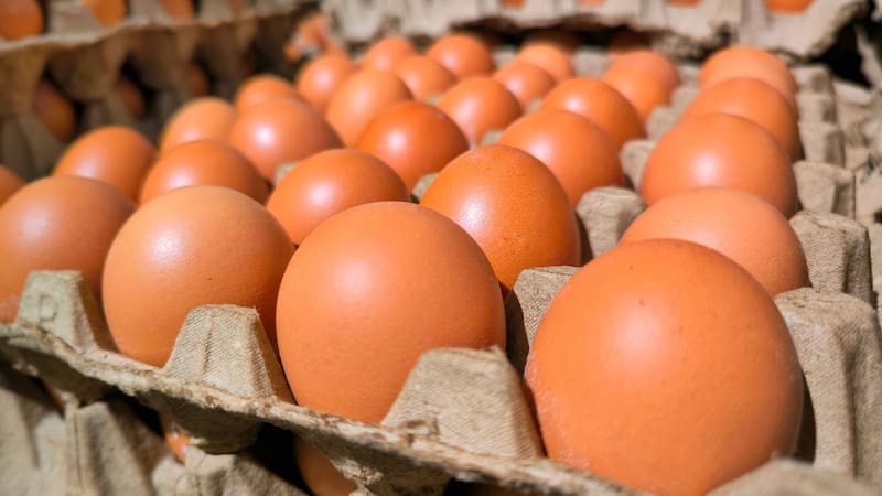 Los huevos son un alimento rico en proteínas.