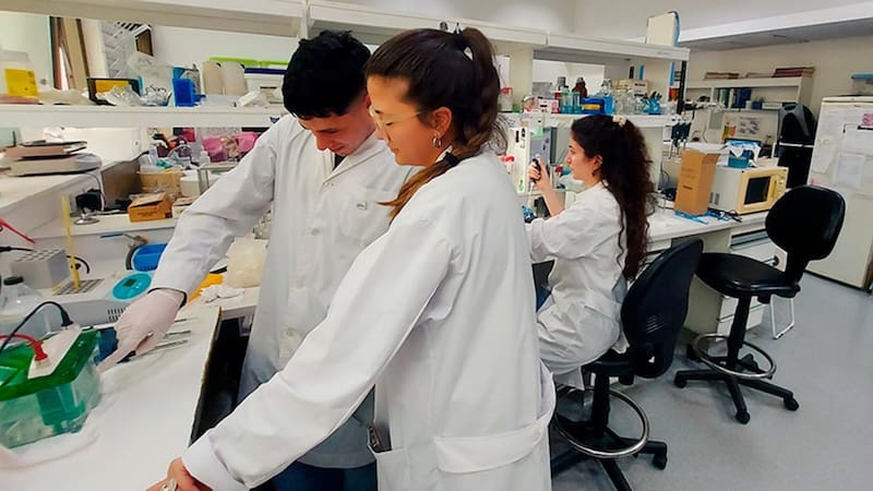 El proyecto lo encabezan científicos del Conicet.
