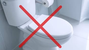 Adiós a los inodoros tradicionales | La nueva tendencia que viene de Europa y los reemplaza para siempre