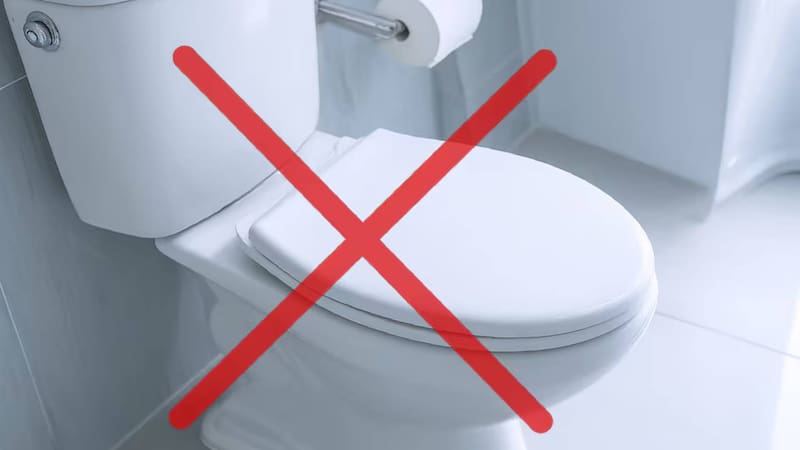 Adiós a los inodoros tradicionales | La nueva tendencia que viene de Europa y los reemplaza para siempre
