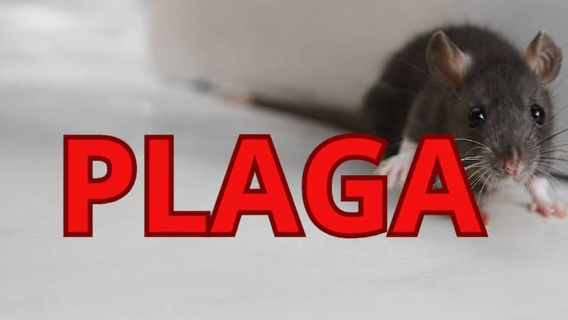 Adiós a los ratones.
