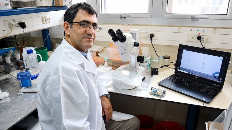 Profesor Shai Rahimipour de la Universidad Bar-Ilan