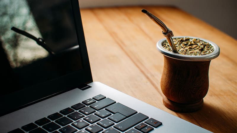 Adiós al cansancio: el yuyo para agregar al mate que potencia tu energía y la concentración