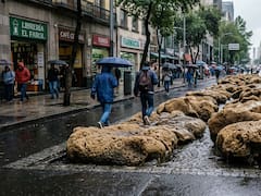 Adiós asfalto: el Gobierno quiere romper todas las calles para colocar esponjas que absorban el agua y evitar inundaciones