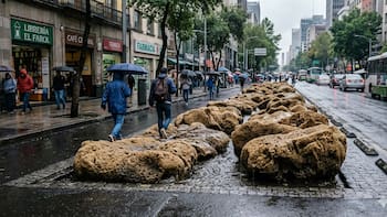 Adiós asfalto: el Gobierno quiere romper todas las calles para colocar esponjas que absorban el agua y evitar inundaciones