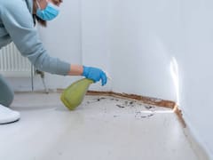 Prohíben la venta y distribución de uno de los productos más utilizados para combatir plagas