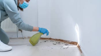 Confirmado: la Disposición 5707 prohíbe la venta de uno de los productos anti plagas más utilizados